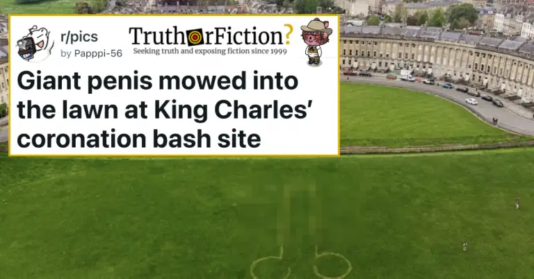 Giant Penis Mowed Into The Lawn At King Charles Coronation Bash Site