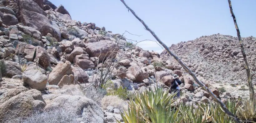 A volunteer placing water at a crossing route in the California desert.