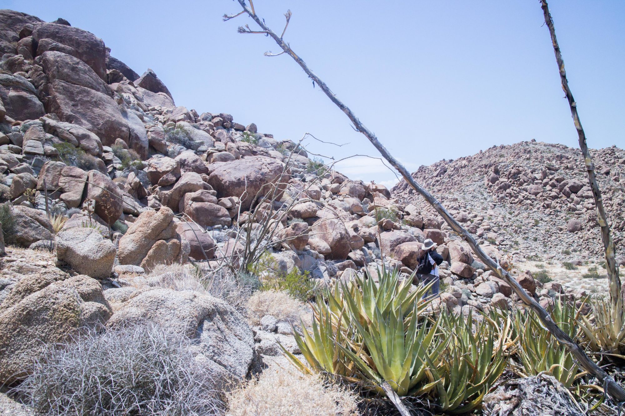 A volunteer placing water at a crossing route in the California desert.