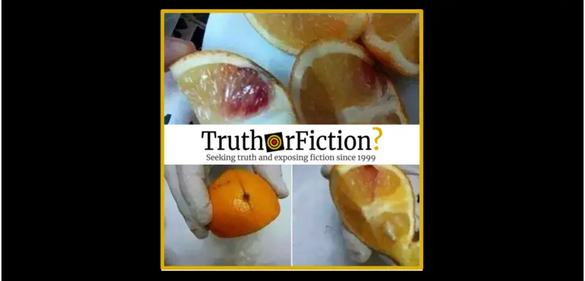 HIV_injected_oranges