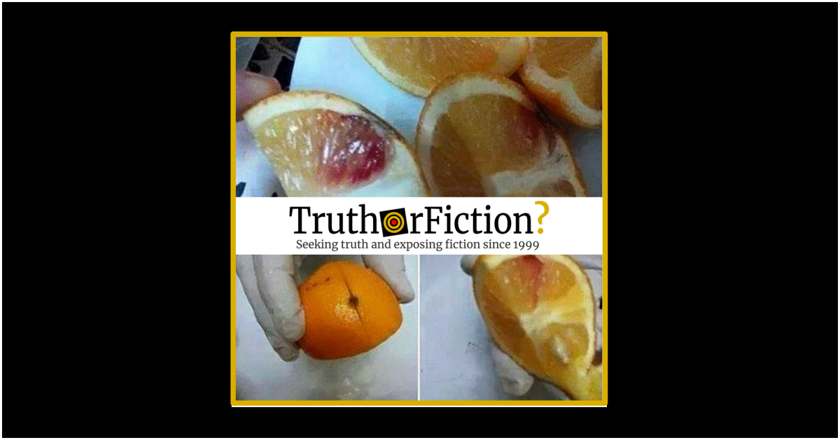 Were Blood Oranges from Libya Injected with HIV?