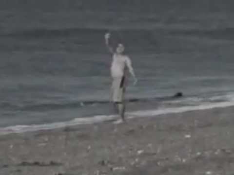 Man on Beach Attacked by Killer Whale-Fiction!