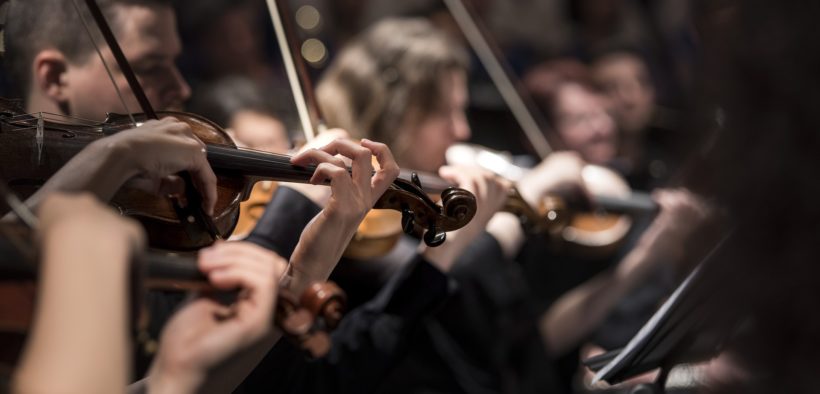 Stringed instruments in an orchestra.