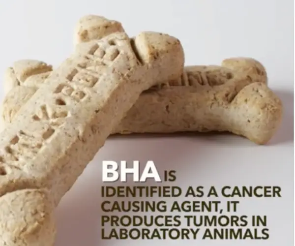 BHA in MilkBone Dog Treats Causes CancerUnproven! Truth or Fiction?