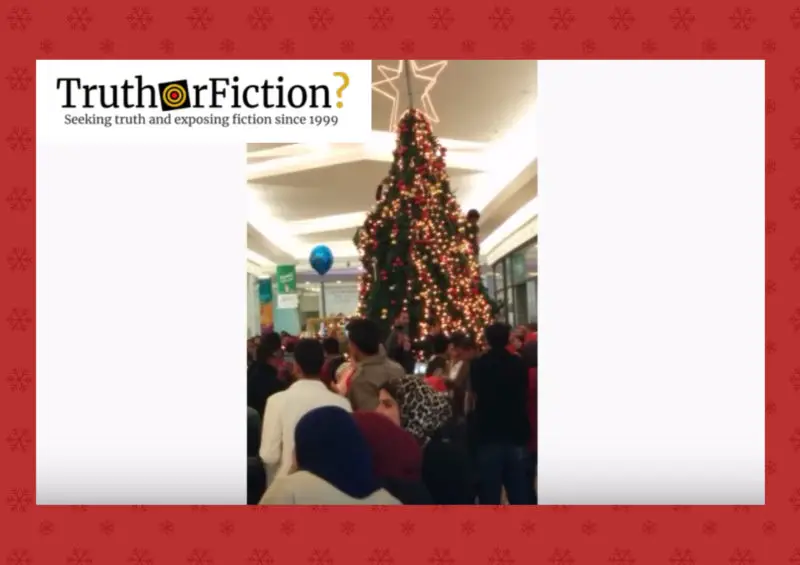 Muslims Attack Christmas Tree in Mall? Truth or Fiction?