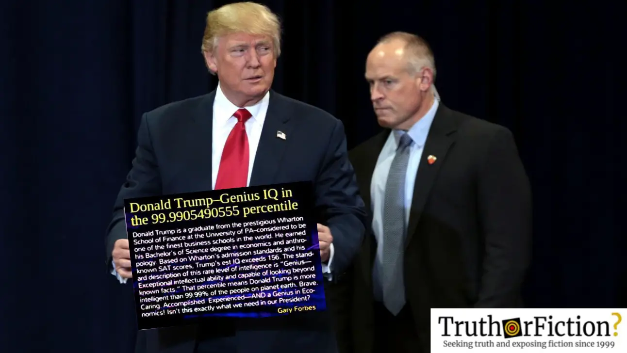What Is President Donald Trumps Iq Exploring The Facts And Insights - ob1o7pg