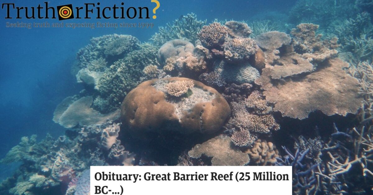 The ‘Obituary’ for the Great Barrier Reef – Truth or Fiction?