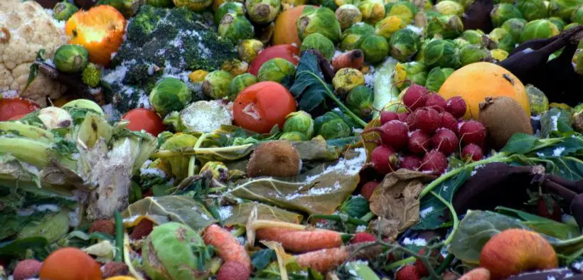 Rotting frozen vegetables.