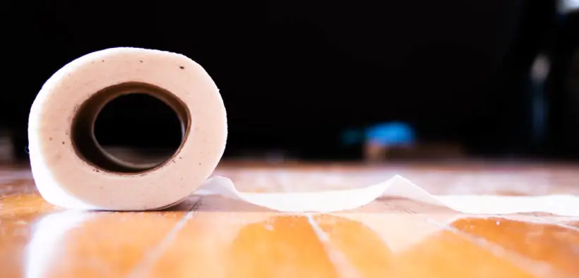 Roll of toilet paper on a hardwood floor.
