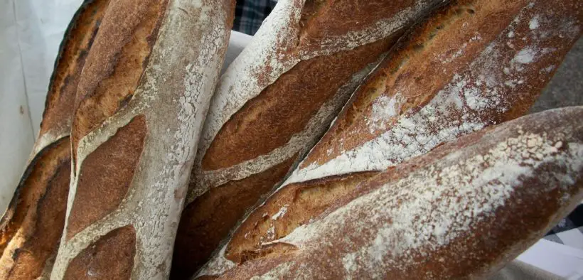 Five baguettes in a container.