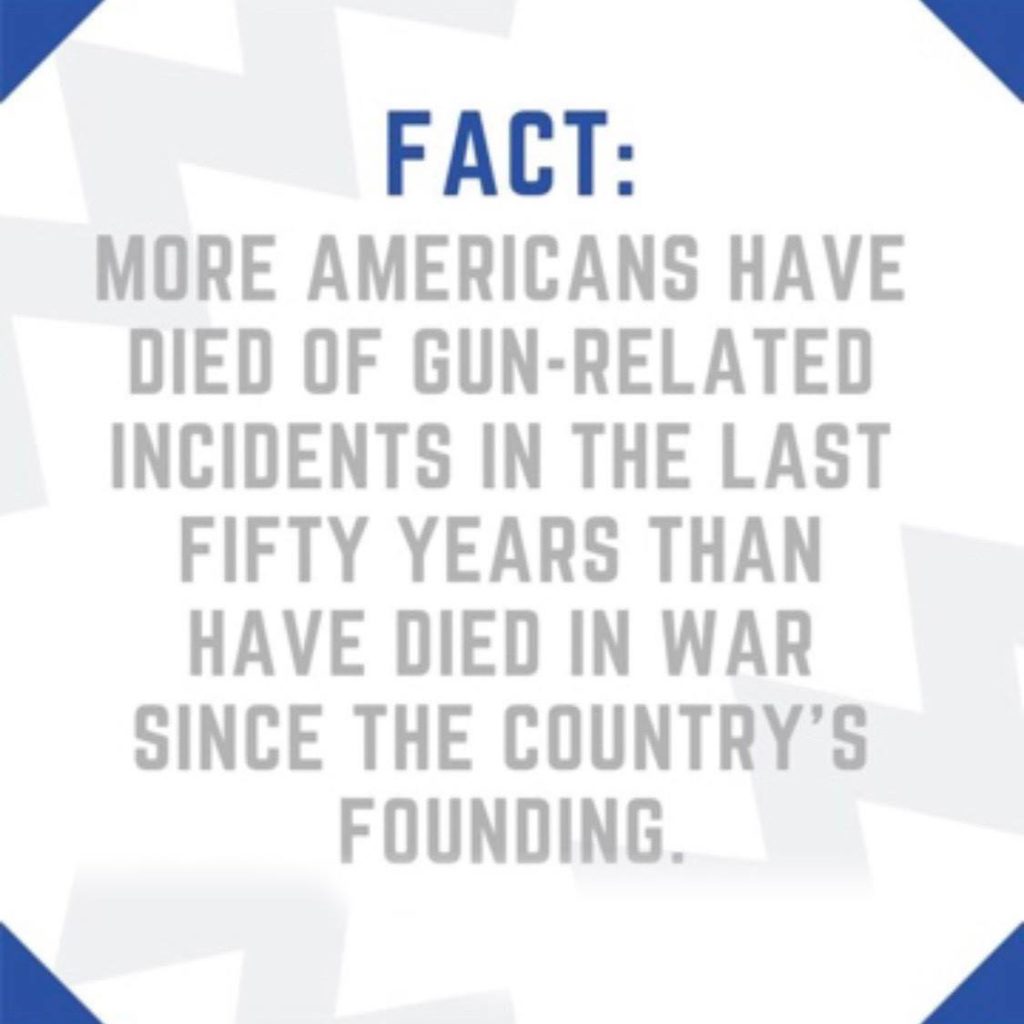 more-americans-have-died-of-gun-related-incidents-50-years-than-wars-nations-founding