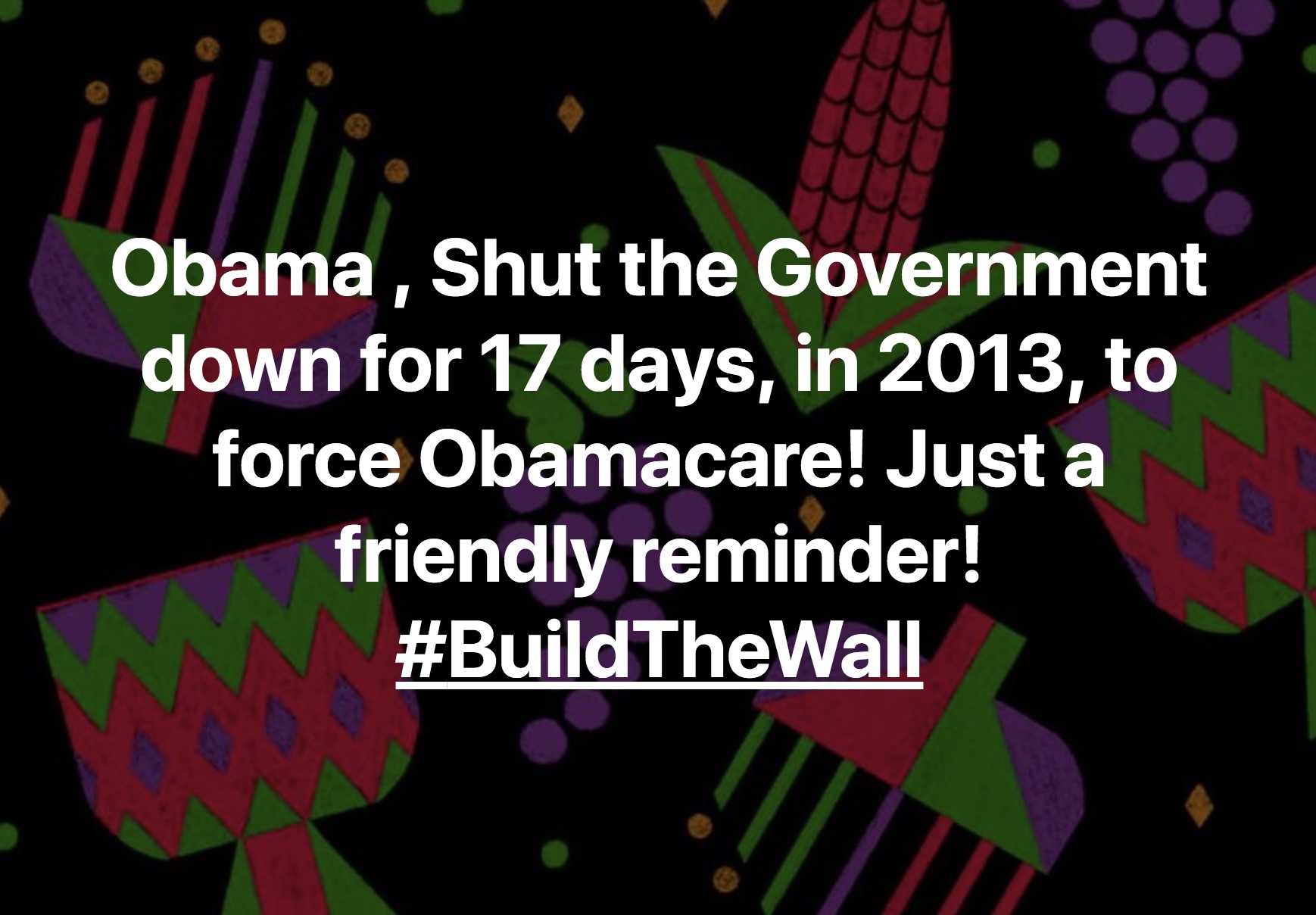 Jim_Benvie_Obama-Shut-the-Government-down-for-17-days-in-2013-to-force-Obamacare-Just-a-friendly-reminder-BuildTheWall