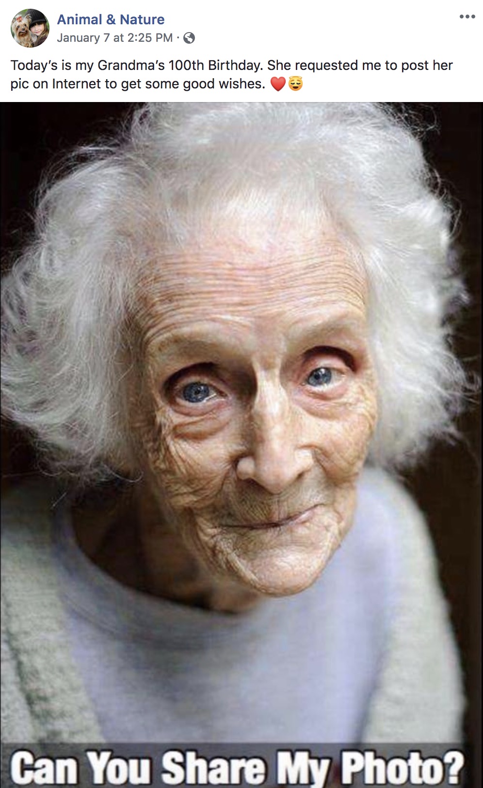 grandma-100th-birthday-facebook