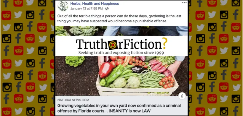 growing_vegetables_criminal_offense