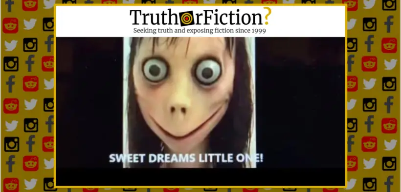 real_momo_videos