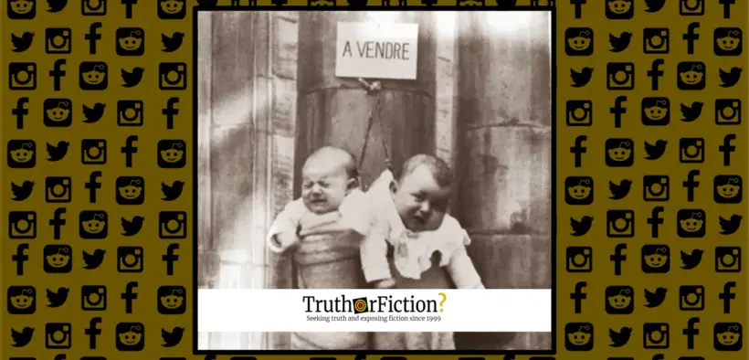 a_vendre_babies_sale_france
