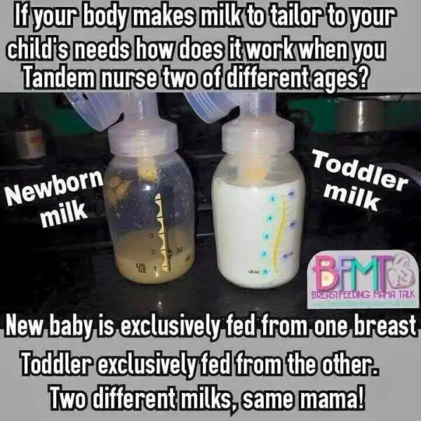 Tandem Nursing Milk Differences Truth Or Fiction