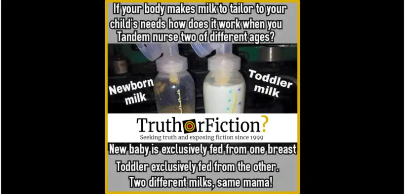 different_milks_same_mama