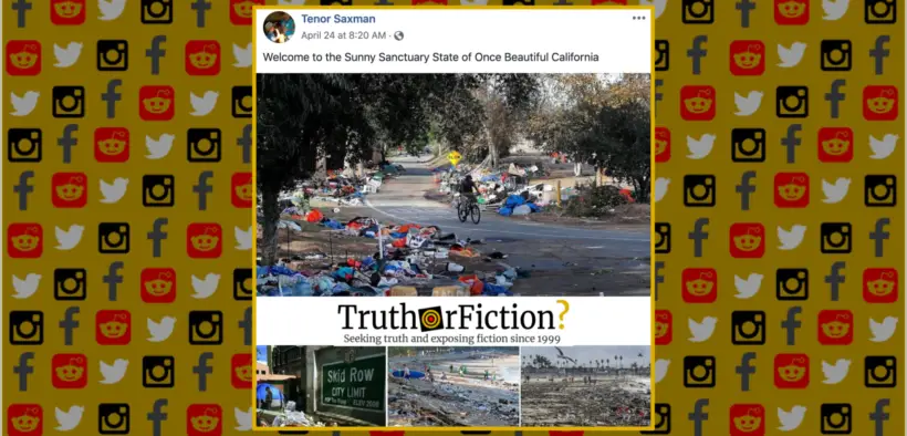 sunny_once_beautiful_sanctuary_state_california