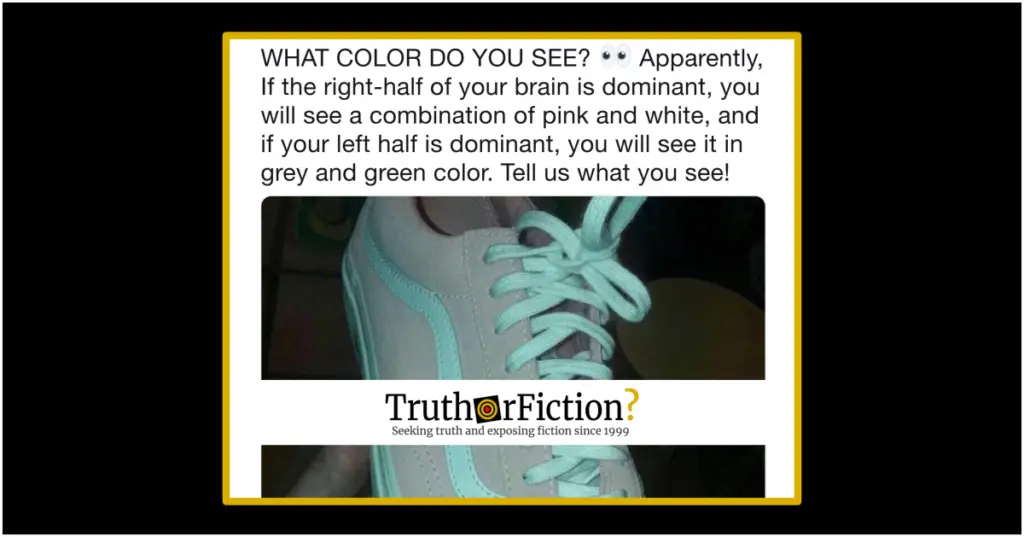 Do The Colors You See In A Photograph Reveal Left Or Right Brain Dominance Truth Or Fiction,Pasta Salad Dressing Recipe Creamy