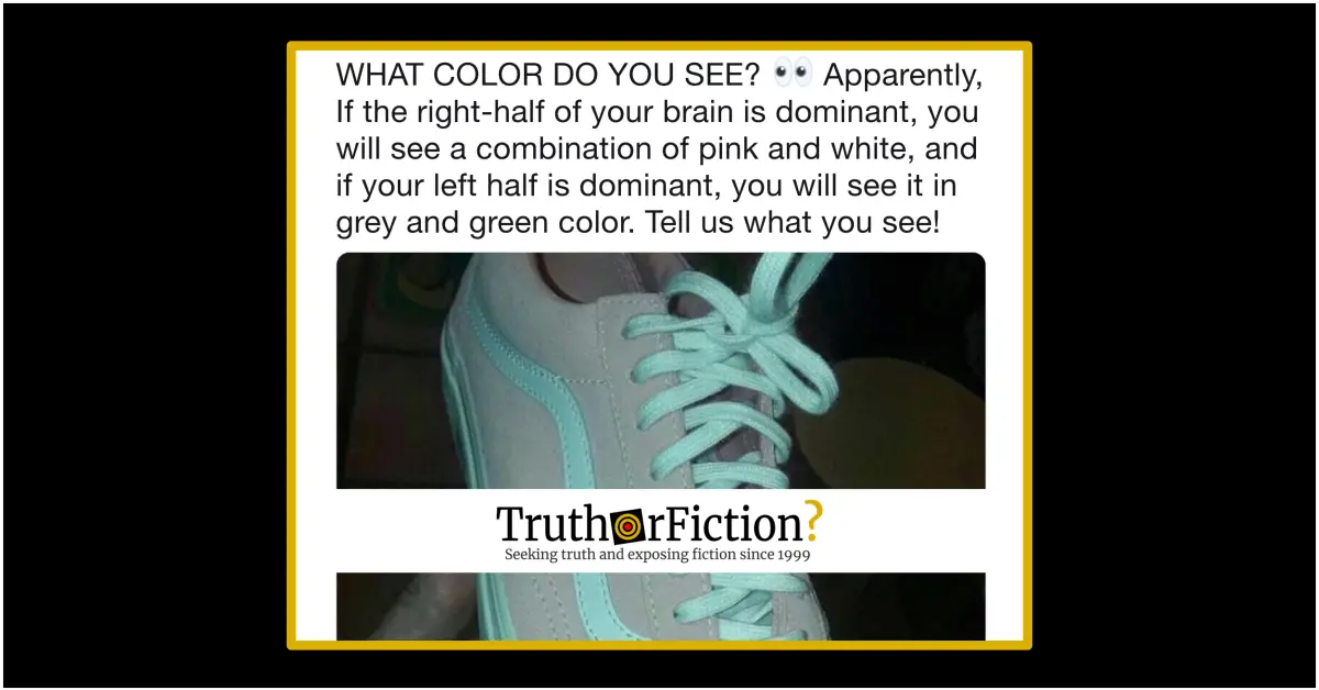 Do the Colors You See in a Photograph Reveal Left or Right Brain ...