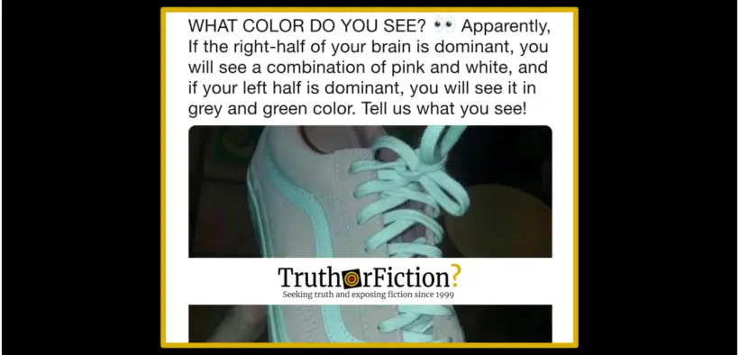 shoe_gray_green_pink_white_left_right_brain