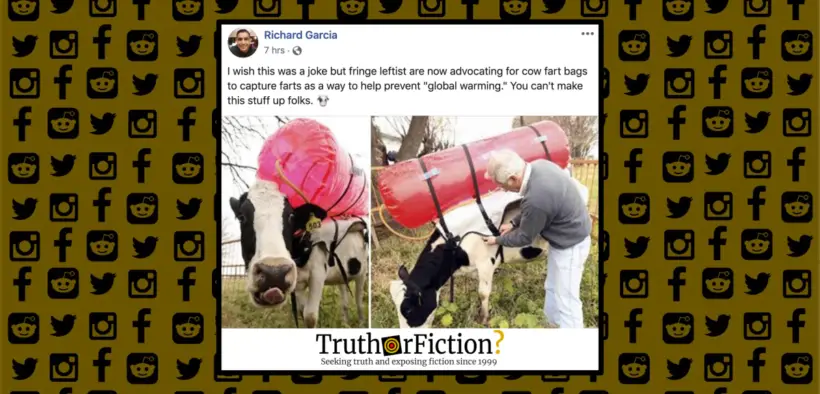 cow_fart_bags_fringe_leftists_