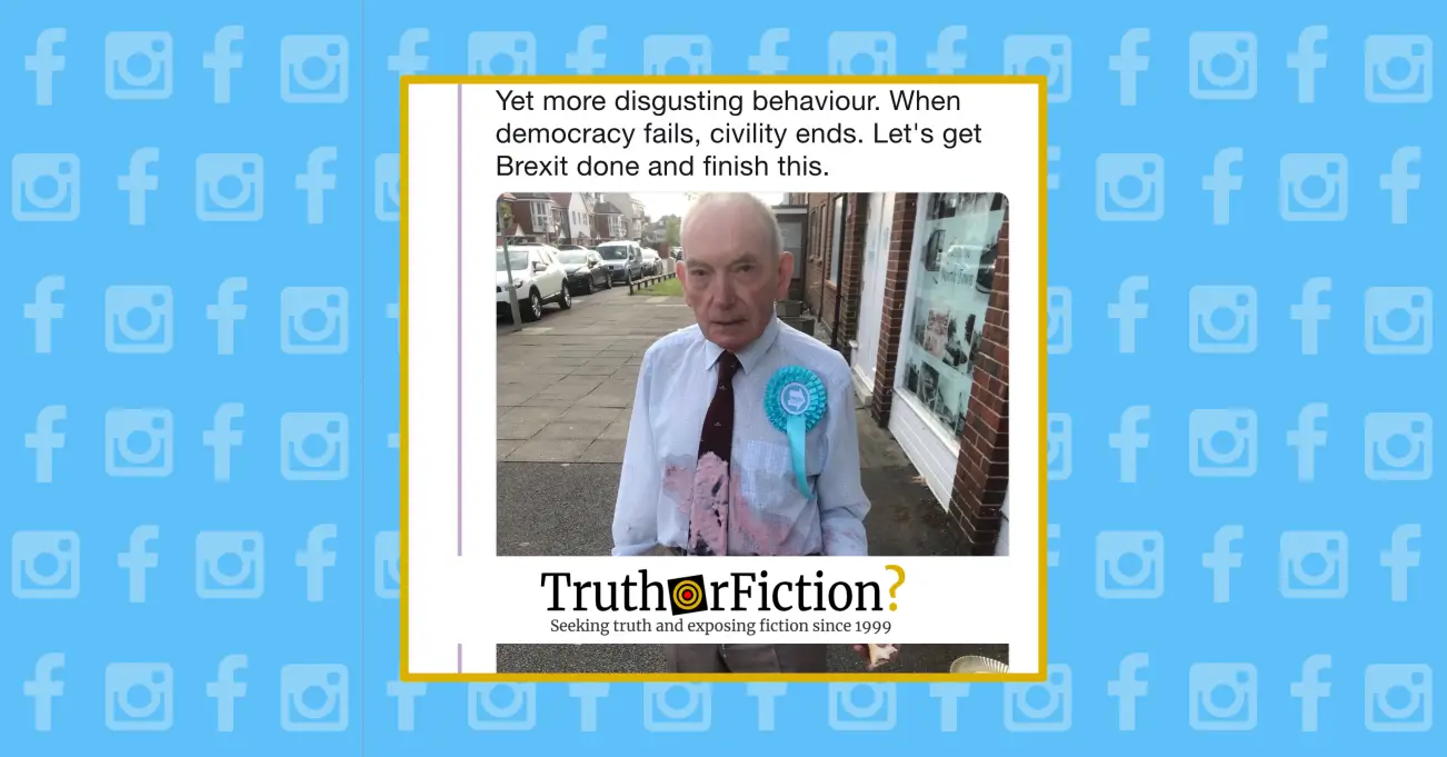 Was a Milkshake Thrown at an Elderly Brexit Party Volunteer?
