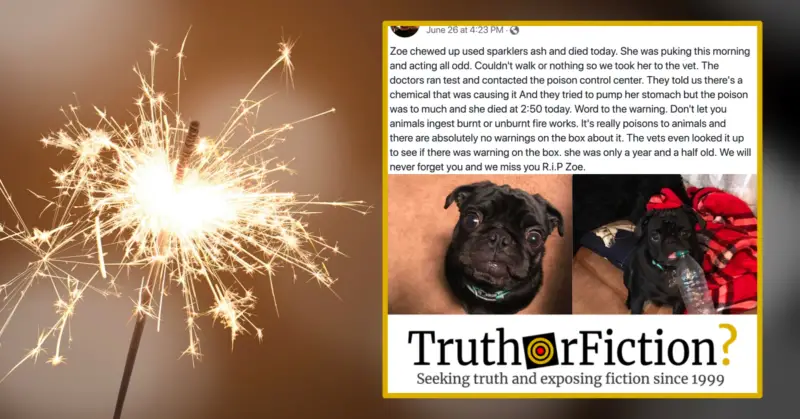 Sparkler Ash Dog Death Warning – Truth or Fiction?