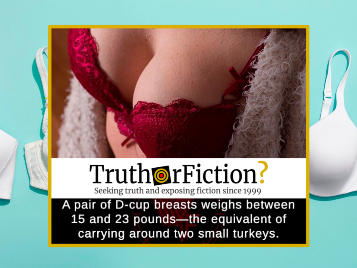 Does 'a Pair' of DD Breasts Weigh Between 15 and 23 Pounds? – Truth or  Fiction?