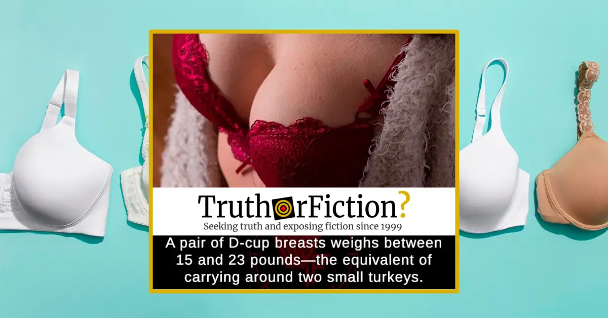 Does ‘a Pair’ of DD Breasts Weigh Between 15 and 23 Pounds?