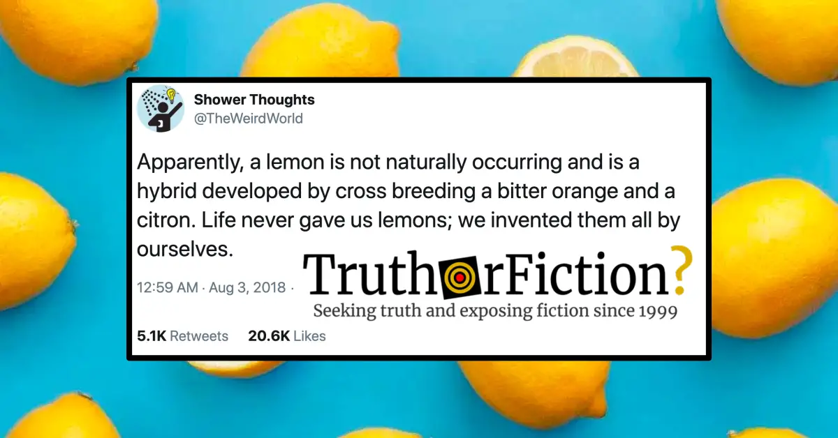 Did Lemons Evolve Naturally?