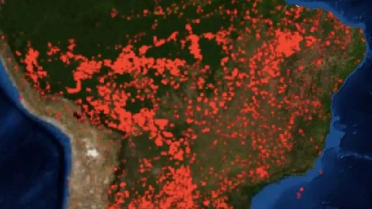 Does This Map Show the Locations of the Amazon Wildfires?