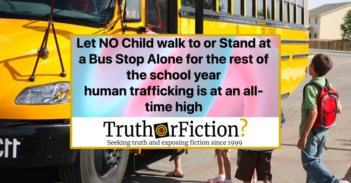 Are School Bus Stops Now More Dangerous Because of an All-Time High in Human Trafficking?