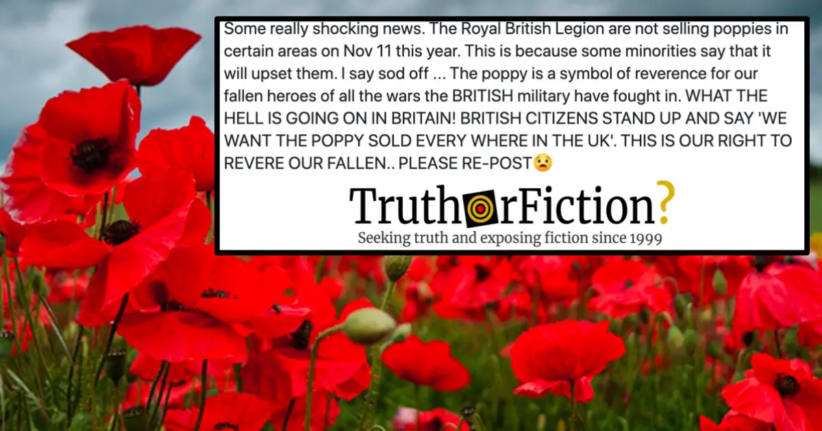 Hundreds of scammers flogging FAKE poppies online as Royal British