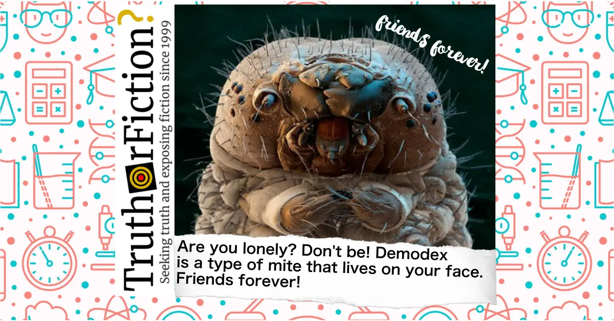 ‘Lonely? Don’t Be. Demodex is the Name of a Mite that Lives on Your Face. Friends Forever!’ Meme