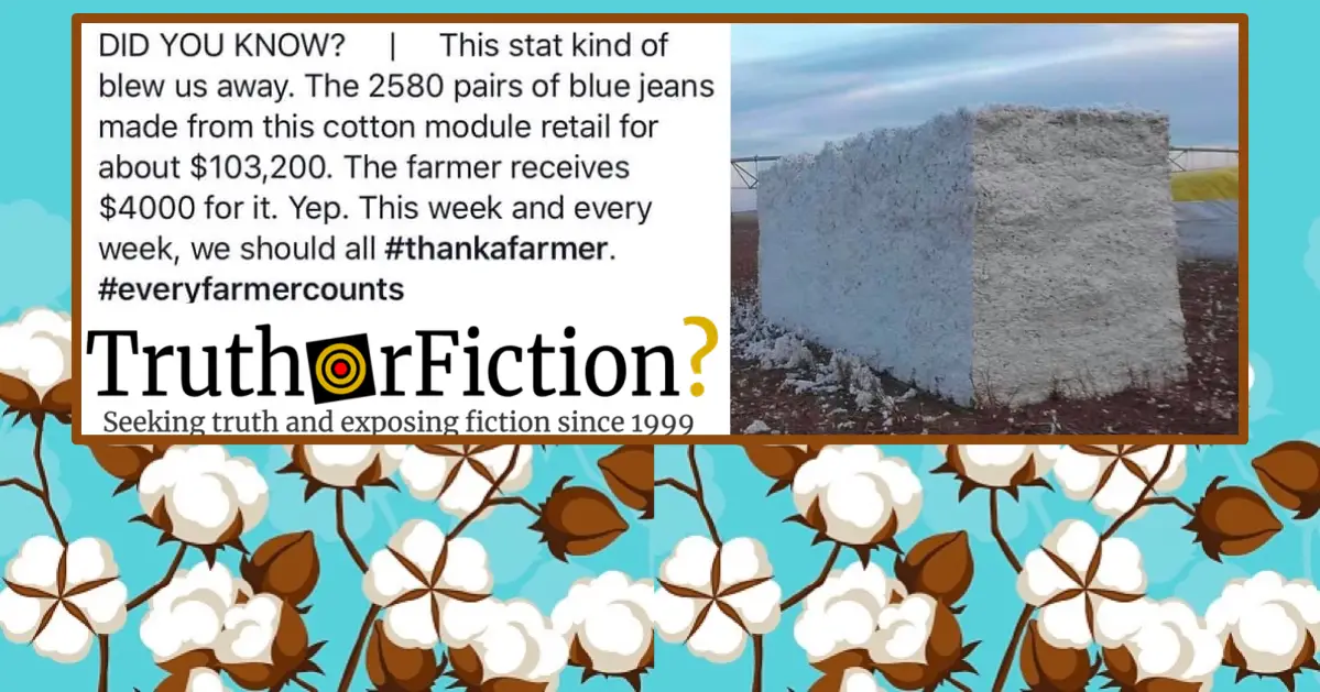The Economics of Turning Cotton Into Jeans