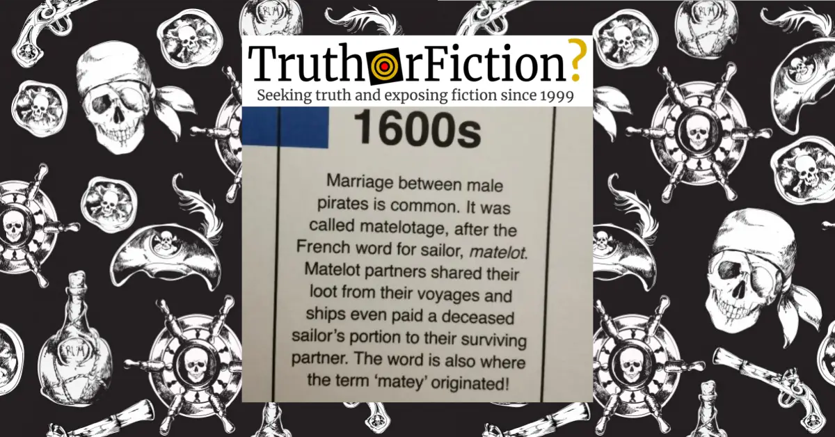 Ahoy Matey Book Excerpt Fuels Surge Of Interest In Same Sex Pirate Partnerships Truth Or 4831