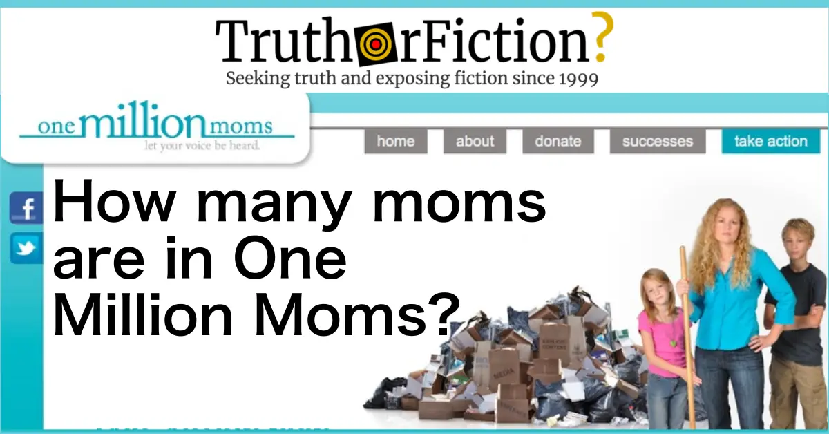 How Many Moms Are In ‘one Million Moms – Truth Or Fiction
