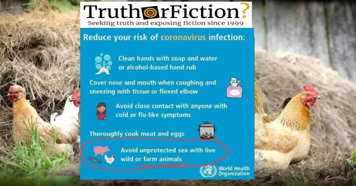 No, You’re Not Being Told to Avoid ‘Unprotected Sex with Farm Animals’ Over the Coronavirus