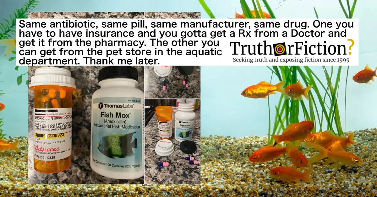 Fish Mox: ‘Same Antibiotic, Same Pill, Same Manufacturer, Same Drug’ as Amoxicillin?