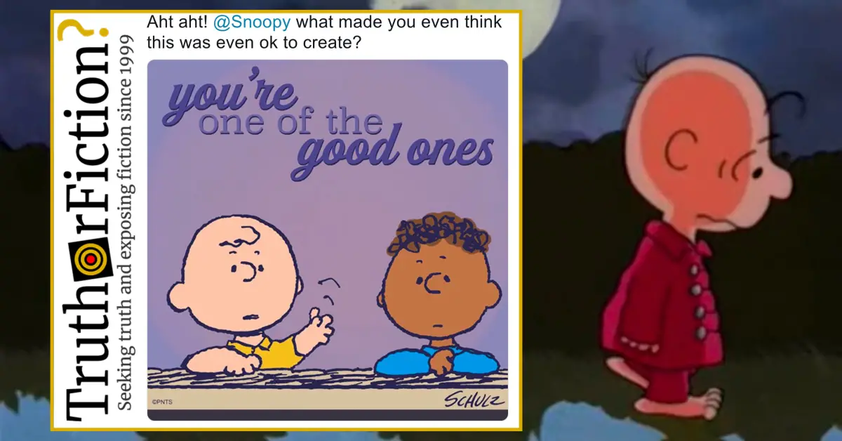 Official ‘Snoopy’ Account Deletes ‘You’re One of the Good Ones’ Cartoon