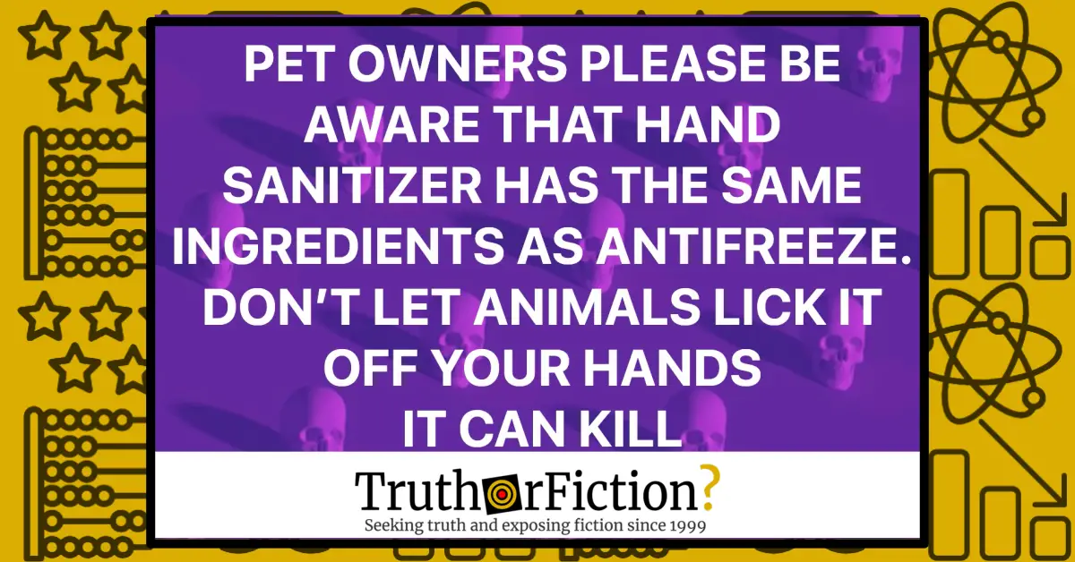 Does Coronavirus Put Dogs at Risk Because Hand Sanitizer Has the Same