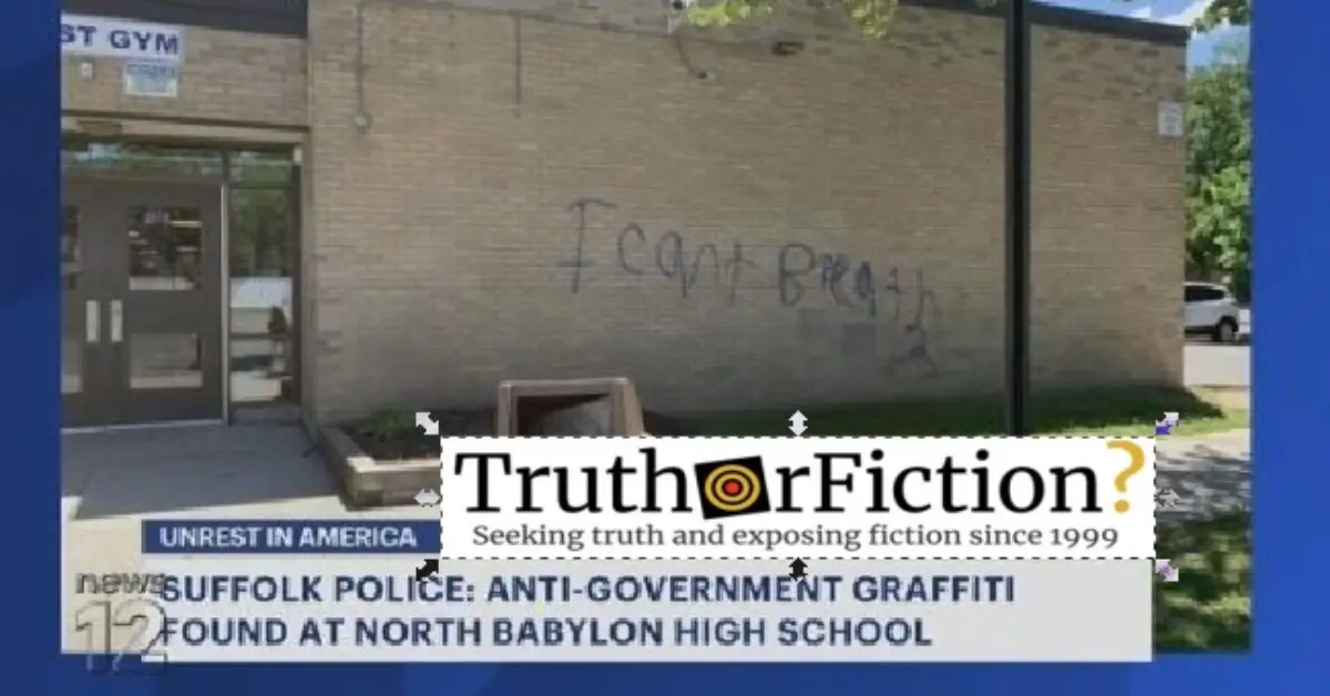 Did a Long Island News Outlet Call George Floyd Graffiti ‘Anti-Government’?