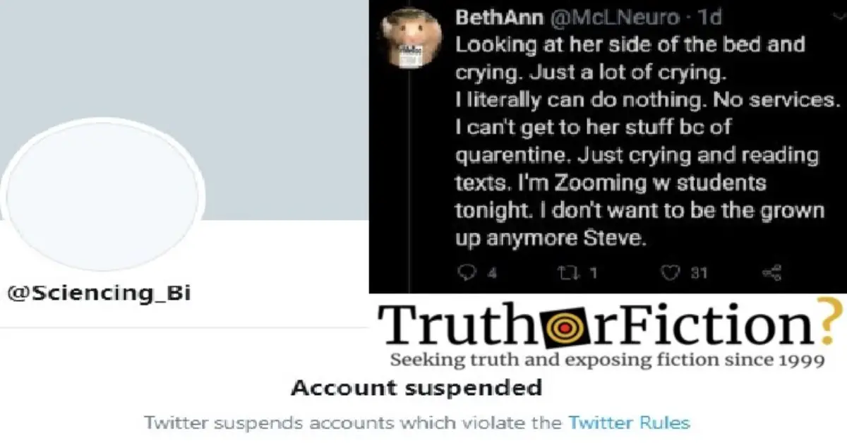 Founder of Abuse Survivors Group Accused of Creating — and ‘Killing’ — Fake Twitter Professor