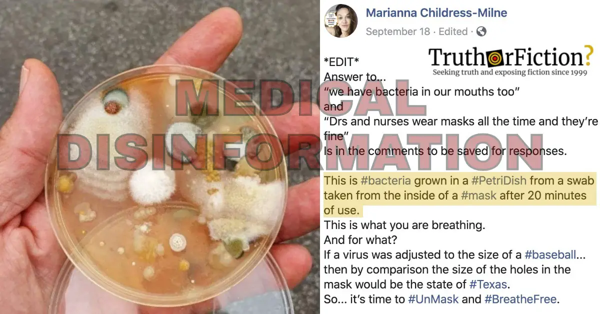 Does This ‘Petri Dish Full of Bacteria Swabbed from a Child’s Mask’ Reveal the Risks of Wearing Masks?