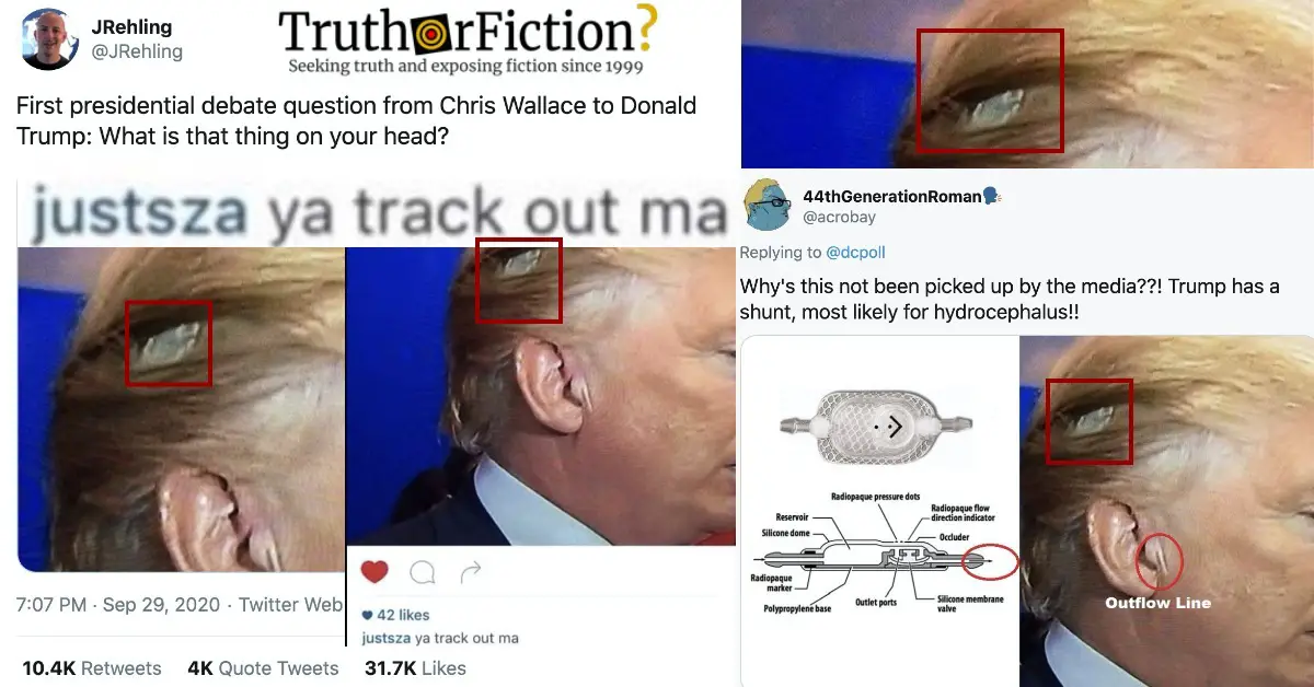 ‘Trump’s Head’ Photograph