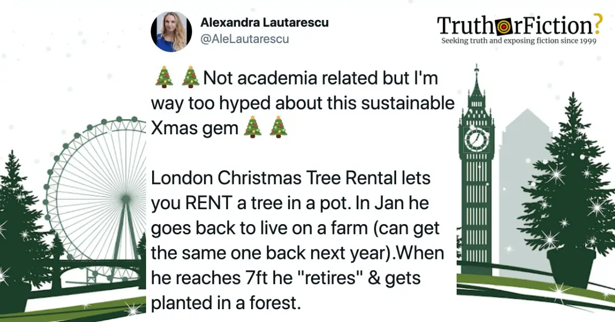 Does London Christmas Tree Rental Enable People to Borrow a Sustainable Christmas Tree?