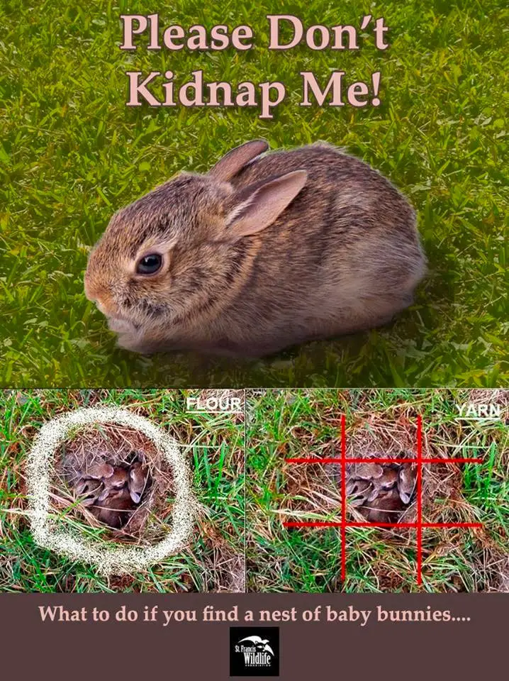 bunny nest lawn mower