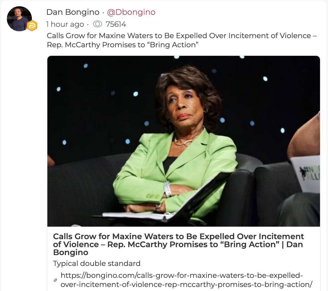 maxine waters inciting riot bongino 2